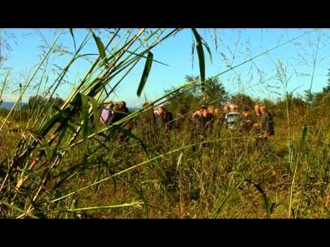 ნიადაგის ანალიზი