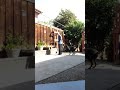 Voiceless Commands Rottweiler Obedience Training