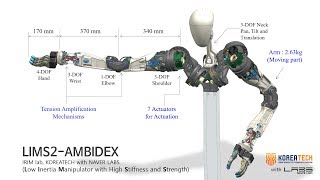 LIMS2-AMBIDEX : basic motion test