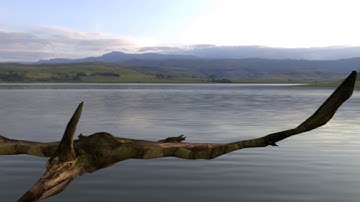 Pterodactyl Animation Using Blender