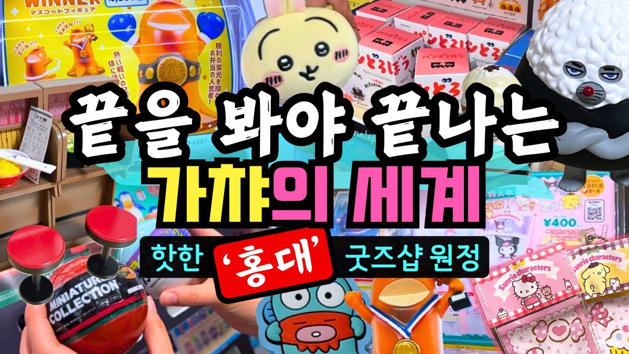 가챠의 끝에는 풀셋이 있다🏆 원하는 거 나올 때까지 뽑아제끼는 오타쿠 브이로그😎 (at 홍대 핫한 굿즈샵들)