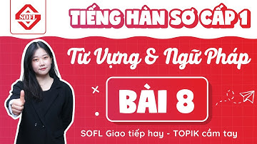 BÀI 8 TỪ VỰNG - NGỮ PHÁP TIẾNG HÀN TỔNG HỢP SƠ CẤP 1 | HỌC TIẾNG HÀN ONLINE