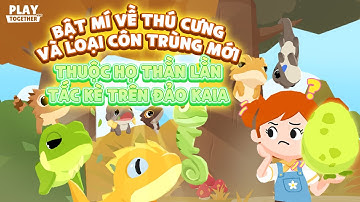 PLAY TOGETHER VNG | BẬT MÍ VỀ THÚ CƯNG VÀ CÔN TRÙNG MỚI THUỘC HỌ THẰN LẰN, TẮC KÈ