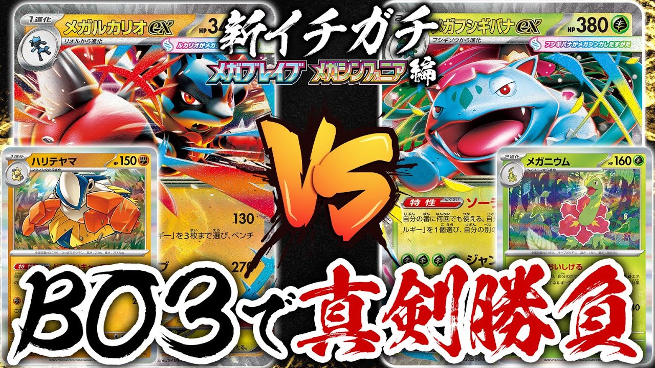 【つき）】メガルカリオeX・メガフシギバナexデッキ つき）様専用】メガルカリオeX・メガフシギバナexデッキ