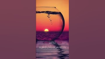 سورة الزخرف الشيخ خالد الجليل