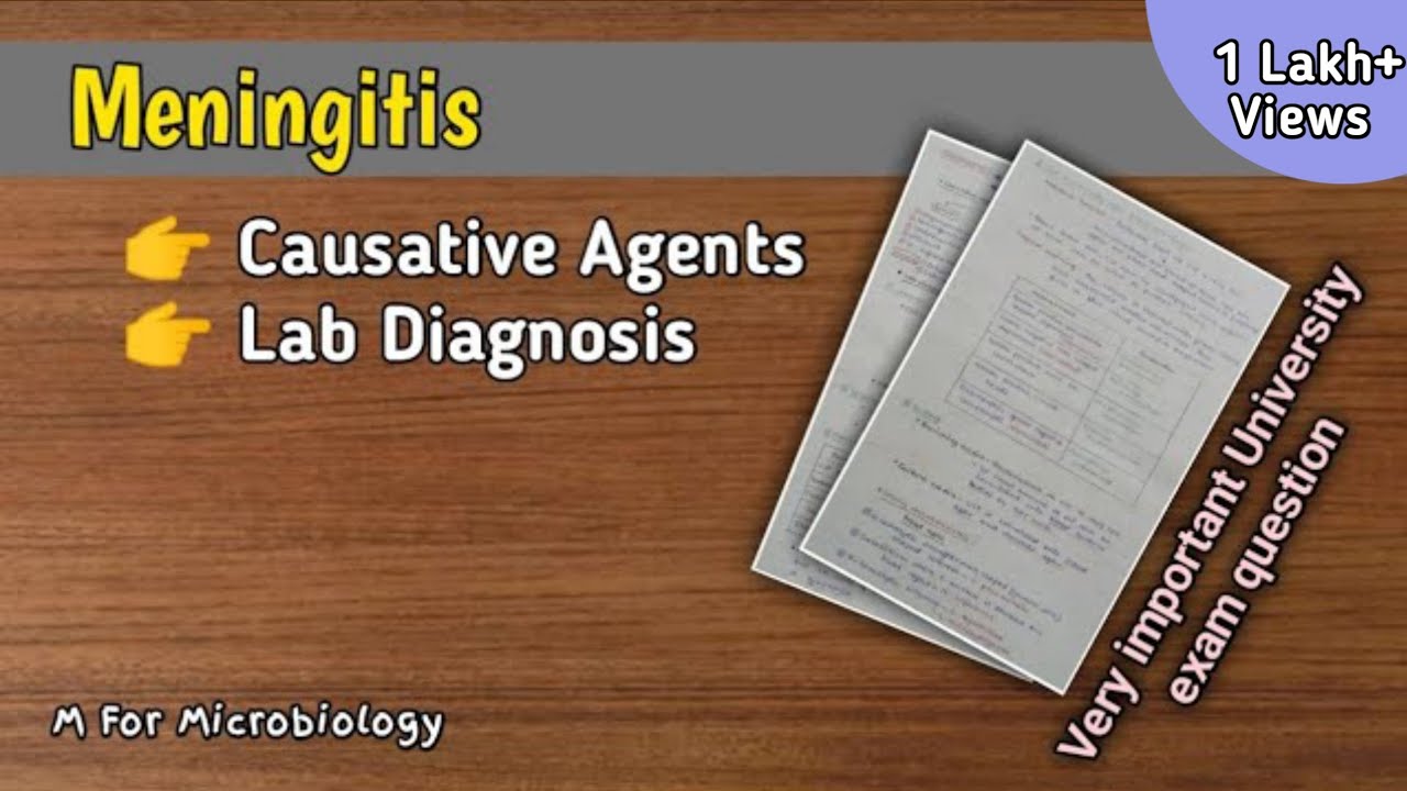 Менингит | Возбудители | Лабораторная диагностика менингита с примечаниями | @M для микробиологии