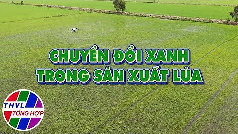 Nông nghiệp bền vững: Chuyển đổi xanh trong sản xuất lúa