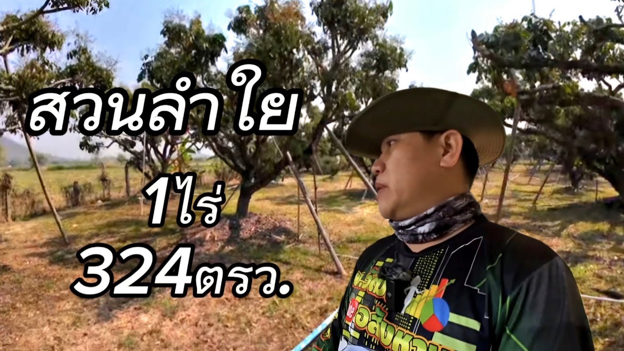 ที่ดินสวนลำใยEP008.เนื้อที่1ไร่324ตรว.ราคา750,000บาทอ.แม่ทา/ลำพูน#ยกเลิกการขาย
