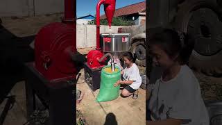 Grinder Machine Grains  #Youtubeshorts#Feed #Farming