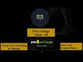 pwn.college Class 08 Program and Absolute Path