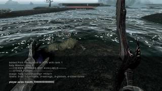 Skyrim Cheats Console Commands-HD!