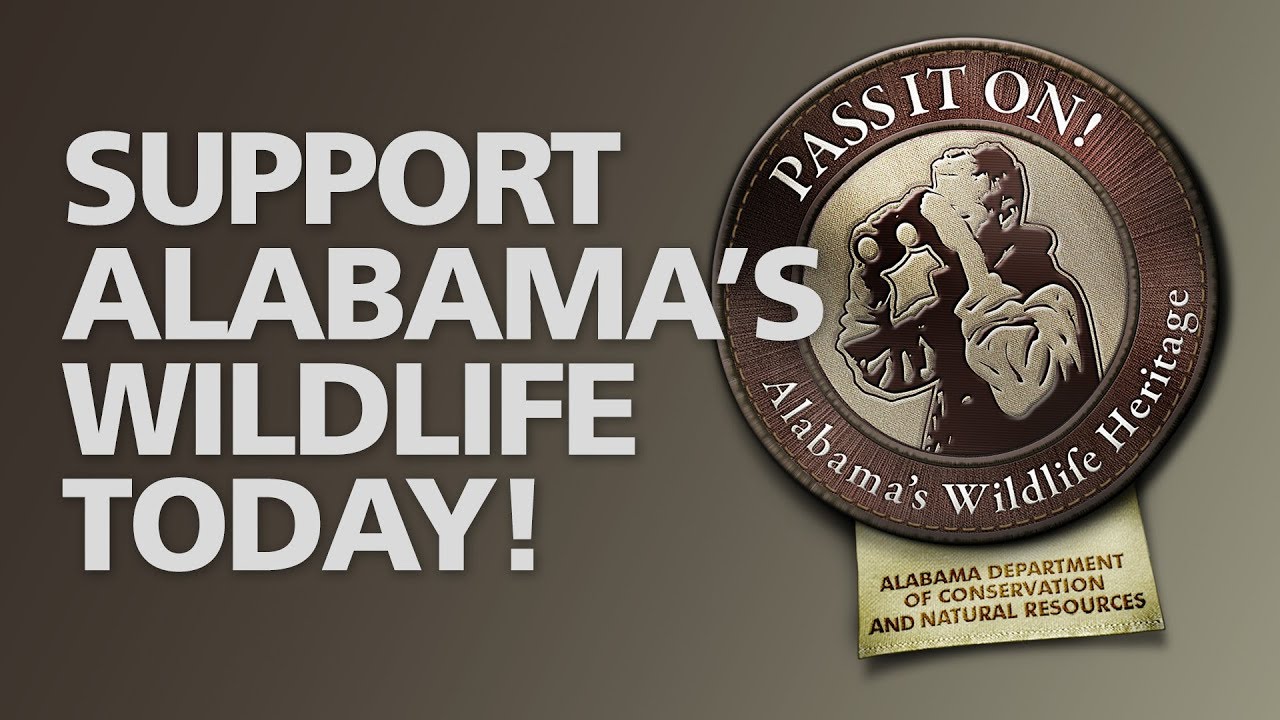 How You Can Help Alabama’s Wildlife