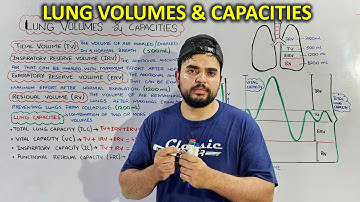 Lung Volumes and Capacities: Essential Concepts for Respiratory Function