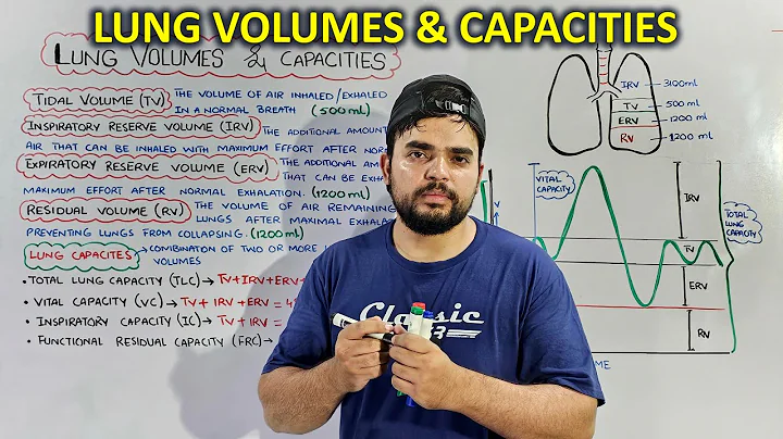 Lung Volumes and Capacities: Essential Concepts for Respiratory Function