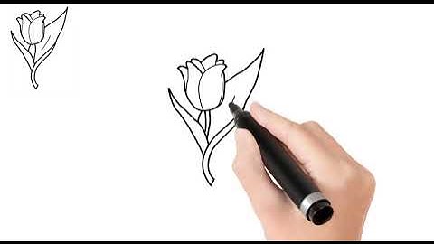 How to draw a tulip | Easy to draw | Spring flowers 🌷🌷🌷