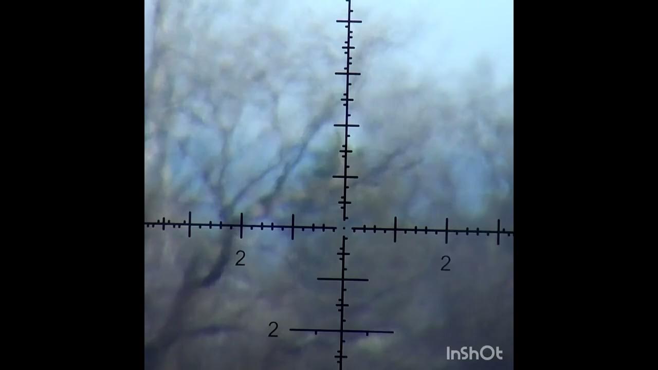 Shooting 200yards with a 22 rimfire using an adaptive tuning system