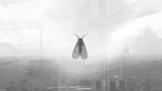 Bloody String - One Last Song