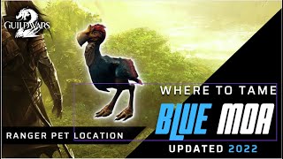 Guild Wars 2 Where To Tame The Juvenile Blue Moa Ranger Pet Location For Blue Moa