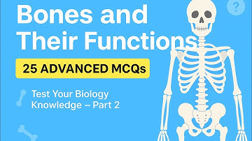 Bones and Their Functions | 25 Advanced MCQs on Human Skeleton (Part 2)