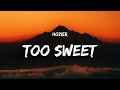 Capture de la vidéo Hozier - Too Sweet (Lyrics) "I Take My Whiskey Neat"