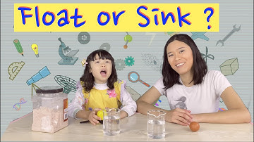 Sink or Float Experiment with Egg || STEM girls