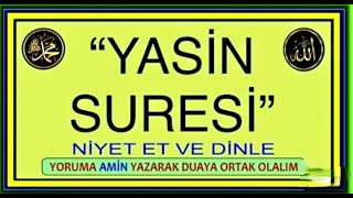 Mohammed Al Fakih (YASİN SURESİ)