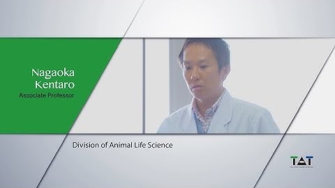TUAT Tenure-track Introduction (English subtitles)  - Nagaoka kentaro -