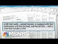 NY AG Lawsuit Paints Vivid Picture Of How NRA Membership Money Is Spent | Rachel Maddow | MSNBC