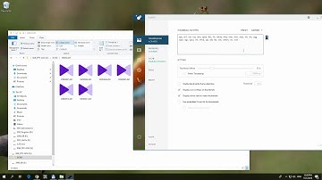 Enabling Thumbnails for AVI video files (Icaros v3.1.1, Windows 10)