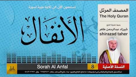 8 | سورة الأنفال | شيرزاد عبد الرحمن طاهر | shirazad taher