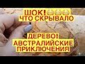 Ютуб Элла Австралия Новые Видео 2022 Года Ютуб Элла Австралия Новые Видео 2022 Года
