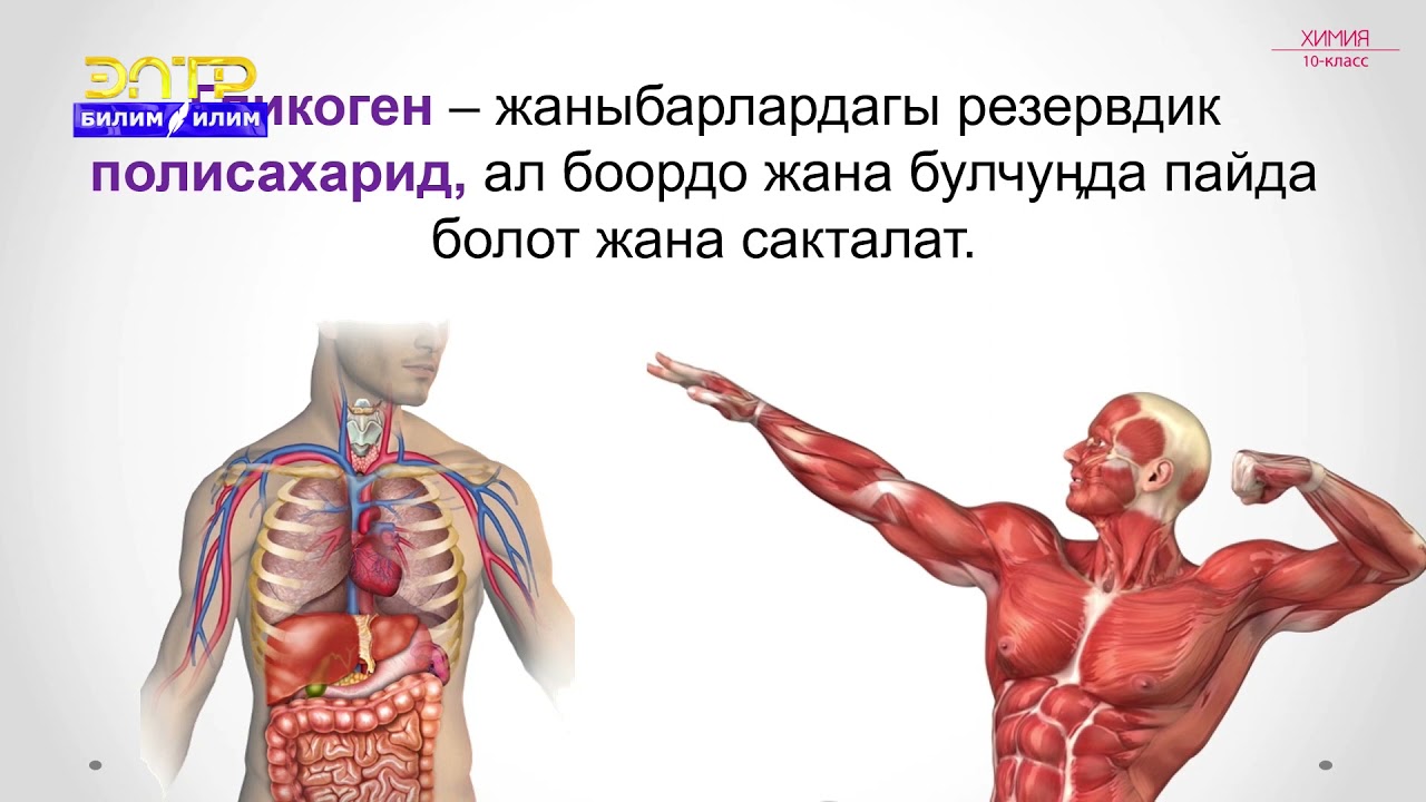 10-класс | Химия  | Полисахариддер. Крахмал жана целлюлоза - жаратылыш полимерлери