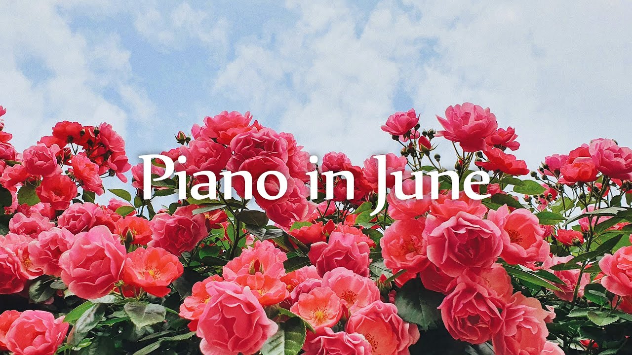 ⁣[Piano] 6월을 담은 살랑이는 피아노 연주곡 l GRASS COTTON+