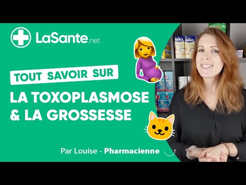 Vidéo: Problèmes De Toxoplasmose - Précautions Pour Les Femmes Enceintes - Litière Pour Chat - Excréments De Chat