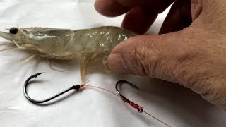 How to Rig Live Shrimp Adjust Hook - كيفية تلاعب الروبيان الحي ضبط هوك لصيد الأسماك - Thẻo mồi sống