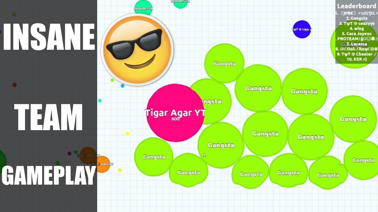 Agar.io | Insane Team Gameplay! | Tigar