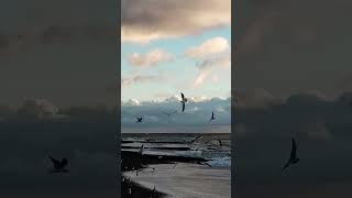 Не любовь 👾 #diy #dance #like #travel #happy #fail #craft #colors #cool