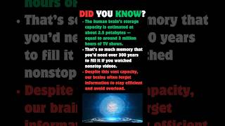 Did You Know Your Brain Can Store 2.5 Petabytes? #BrainFacts