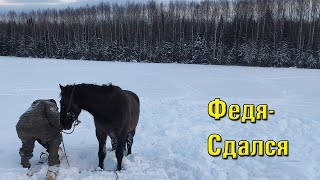 Лошадь целый месяц живёт в лесу часть 3. Лошадь признала хозяина. Федя сдался.