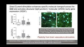 Dr Bikson on Neuro-vascular modulation: A brain stimulation mechanism related to hemodynamic imaging