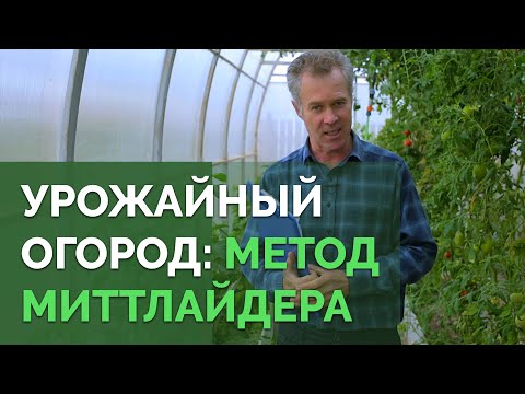 Видео: Метод на Митлайдер в руската версия: рецензии, снимки