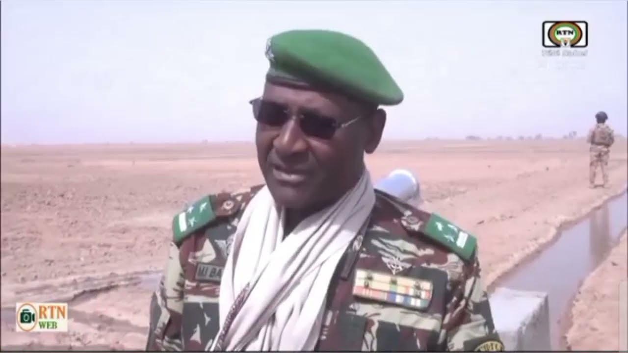 Souveraineté alimentaire : 102 hectares de riziculture aménagés à Kakaria (Diffa)