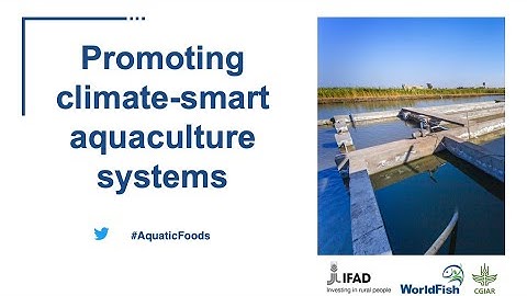 Fish4Thought: Promoting climate-smart aquaculture systems