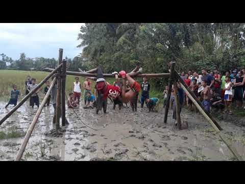 The Amazing Bamboo Boxing