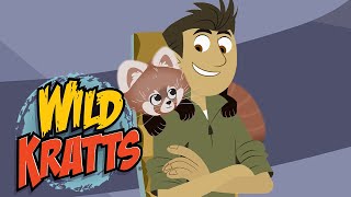 Wild Kratts | The Rare Red Panda | NATURE
