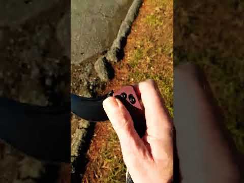 Walk n' Flick