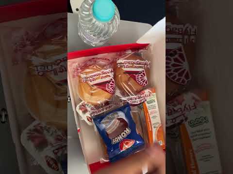 وجبة الأكل على طيران فلاي بغداد