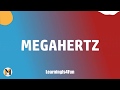 MegaHertz/Ntate Stunna - If I get money(Lyrics Video)