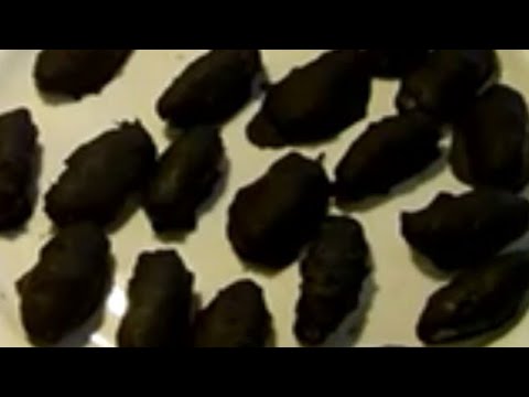 वीडियो: कैसे बनाएं डार्क चॉकलेट से ढके नारियल और नट कैंडीज