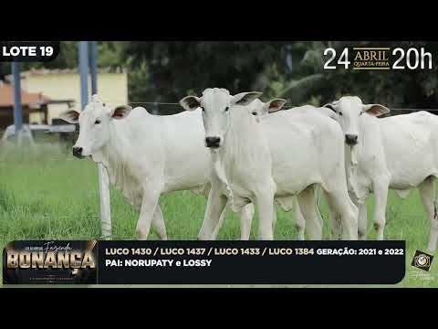 LOTE 19   LUCO 1384,1430,1433,1437